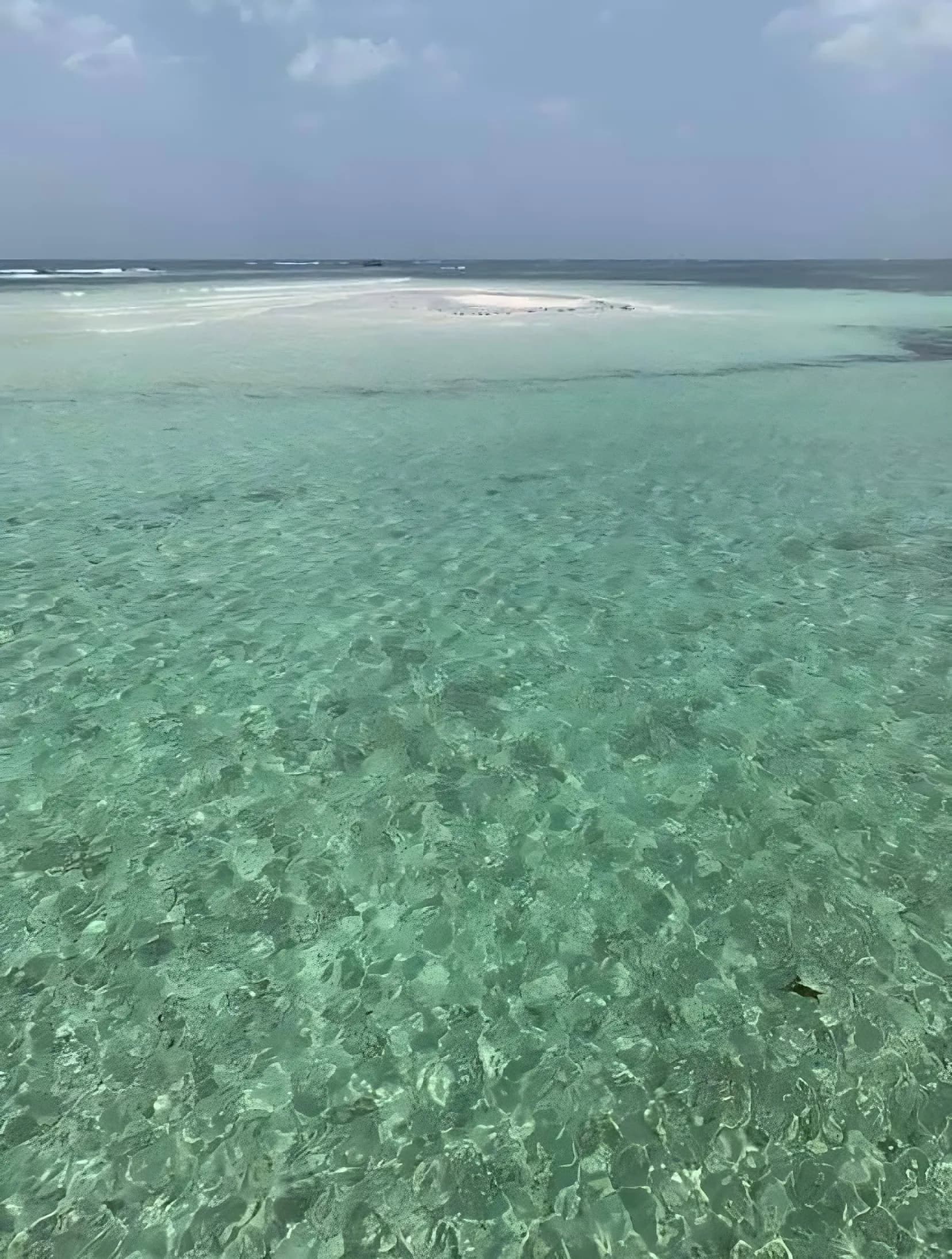Blue Safari: snorkelling, Mida Creek and lobster on Sudi Island - foto 7