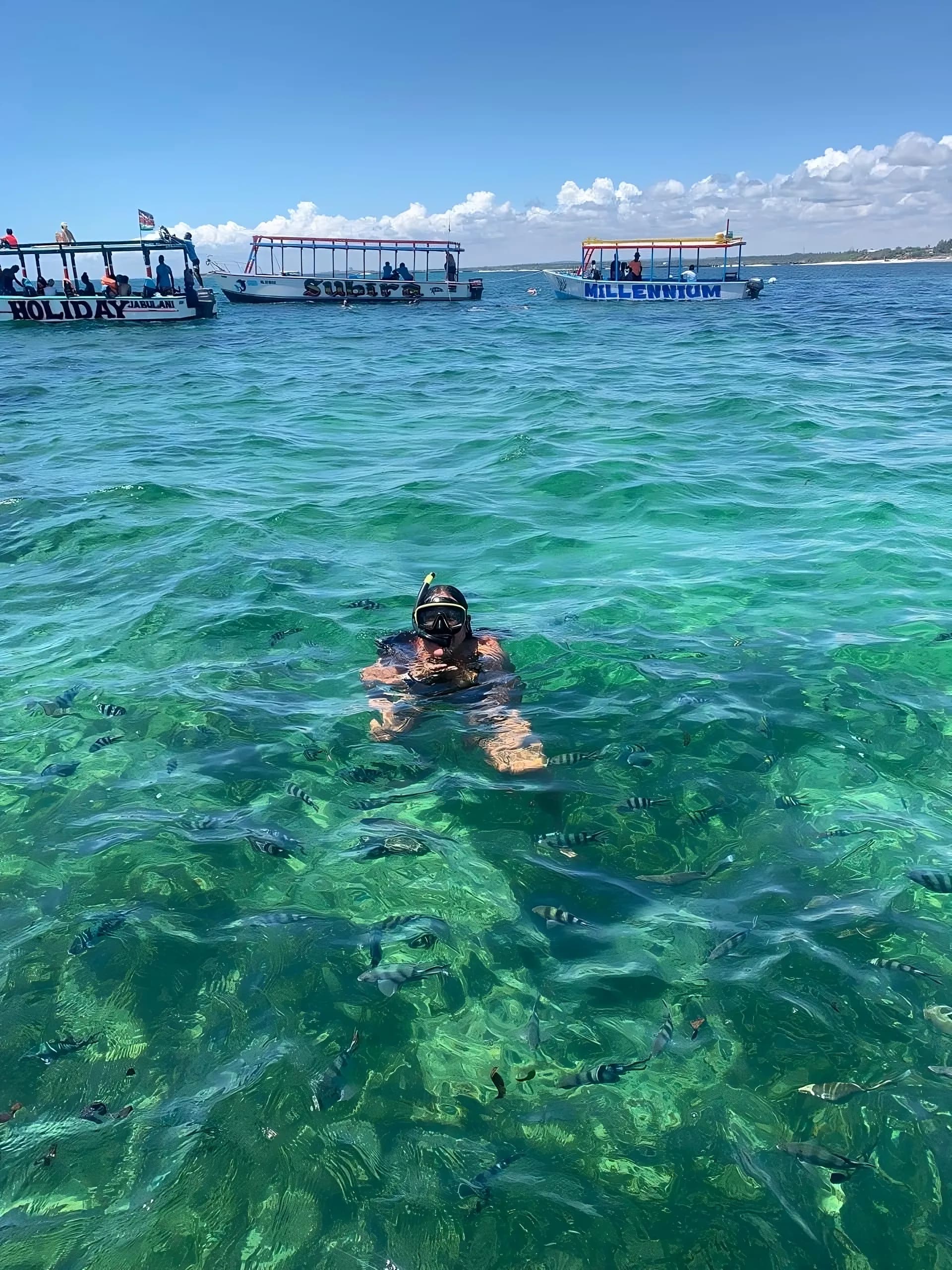 Blue Safari: snorkelling, Mida Creek and lobster on Sudi Island - foto 2